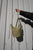 Bucket Bag