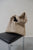 M Crossbody Bag
